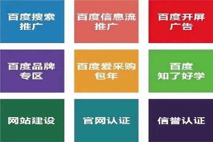竞价推广公司经典案例：打造行业领先的广告投放效果